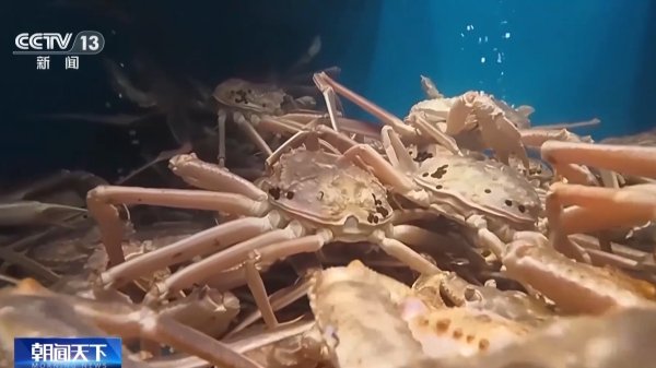 港美股配资 活力中国调研行丨边陲小城奏响海洋经济交响曲